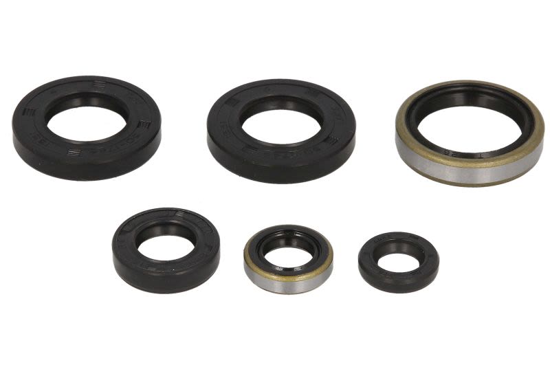 Set complet garnituri motor WINDEROSA