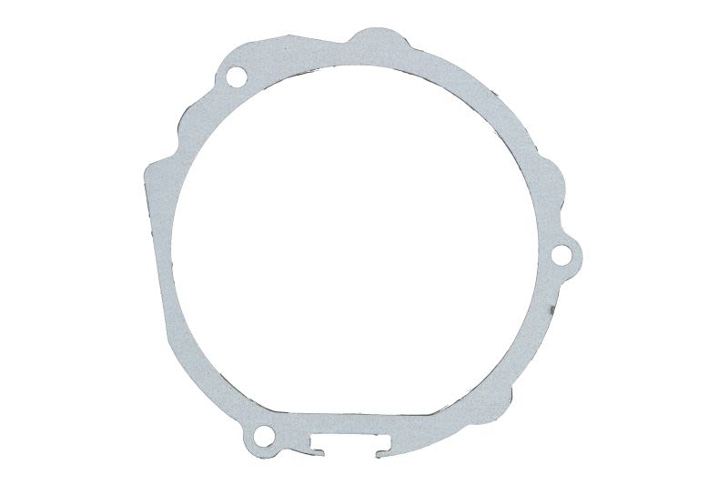 Garnitură capac alternator WINDEROSA