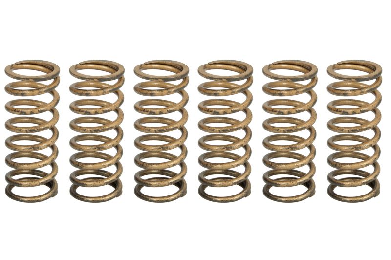Set arcuri ambreiaj TRW pentru APRILIA TUONO 1100 2015-2020