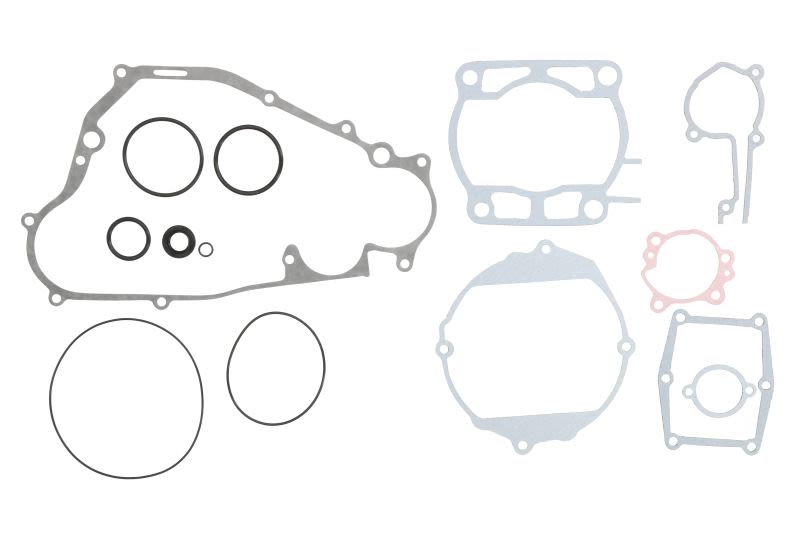 Set complet garnituri motor WINDEROSA