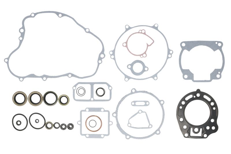 Set complet garnituri motor WINDEROSA