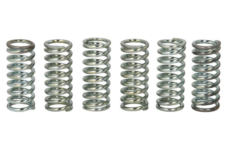 Set arcuri ambreiaj TRW pentru KAWASAKI GPZ, ZZR; SUZUKI RF 900/1100 1990-1997