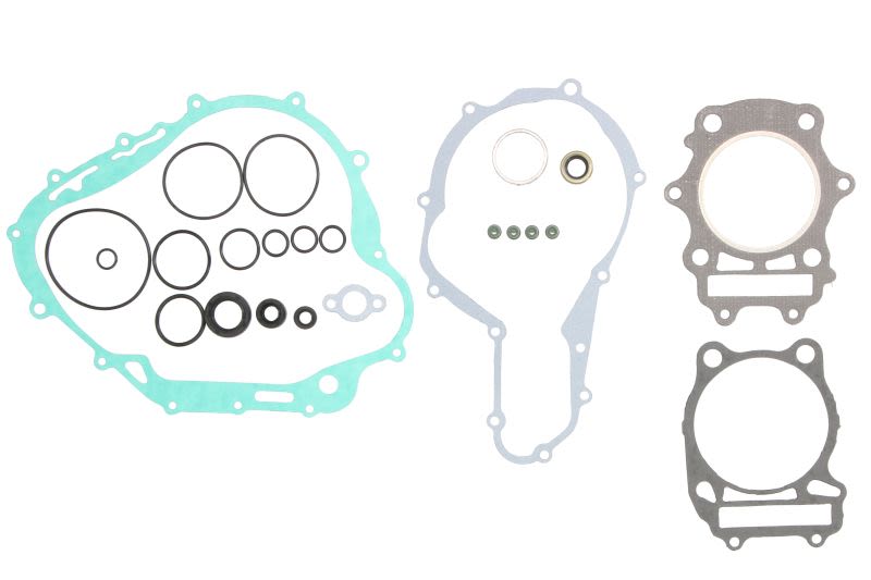 Set complet garnituri motor WINDEROSA