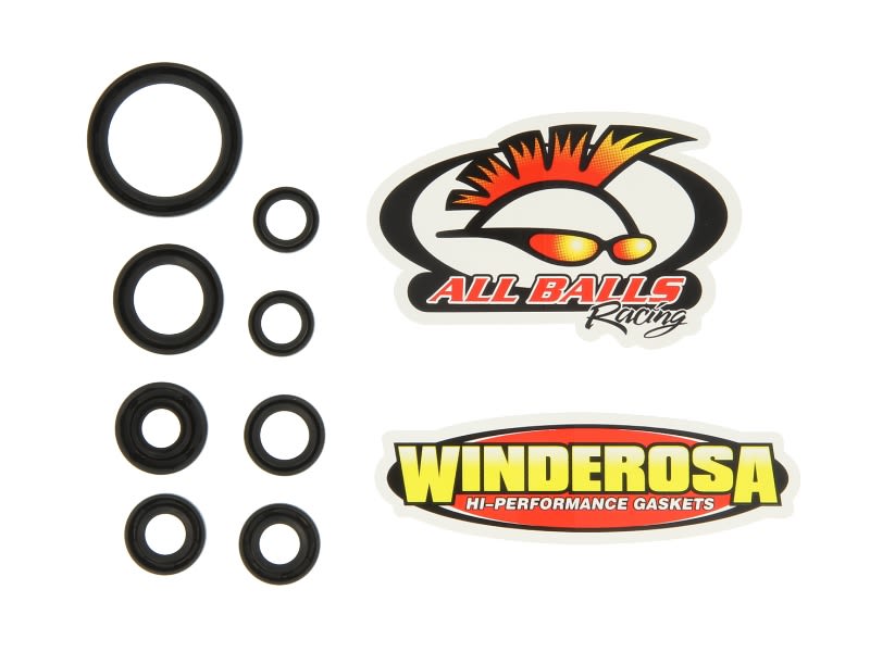 Set simeringuri motor WINDEROSA
