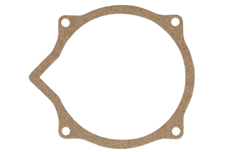 Garnitură capac alternator WINDEROSA