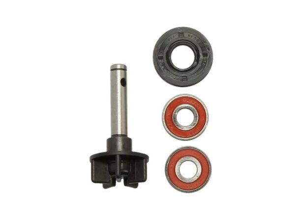 Alte piese RMS pentru SUZUKI AY 50 1997-2006