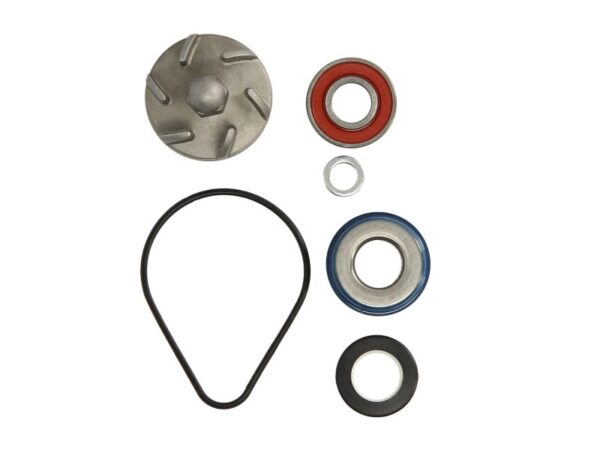 Alte piese RMS pentru HONDA FES, PANTHEON 125/150 1998-2002