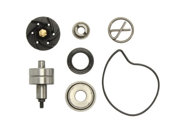 Alte piese RMS pentru GILERA NEXUS, OREGON; PIAGGIO/VESPA BEVERLY, CARNABY, GTS, GTV, MP3, X-EVO, X7, X8, X9 200/250/300 2004-2010