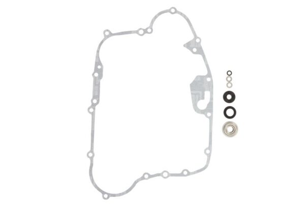 Alte piese WINDEROSA pentru KAWASAKI KSF 250 1987-2004