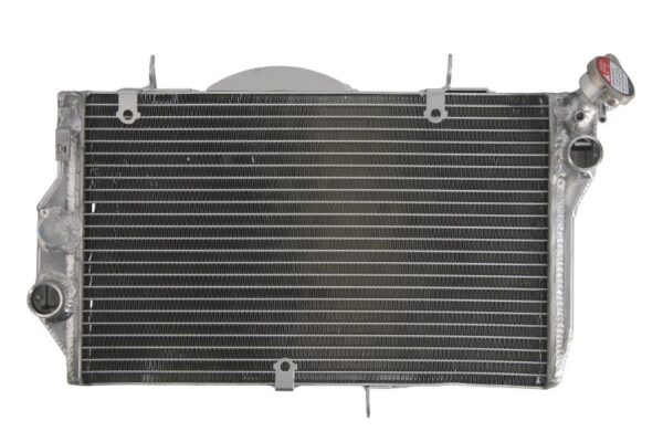 Alte piese 4 RIDE pentru HONDA CBR 1100 1999-2007