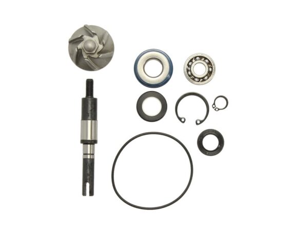 Alte piese RMS pentru HONDA SH 125/150 2001-2009